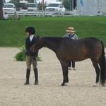 Devon MacLeod & Me First modeling at USEF Pony Finals, 2010