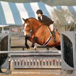 Devon MacLeod and Notorious in the children's hunters, HITS Ocala 2014